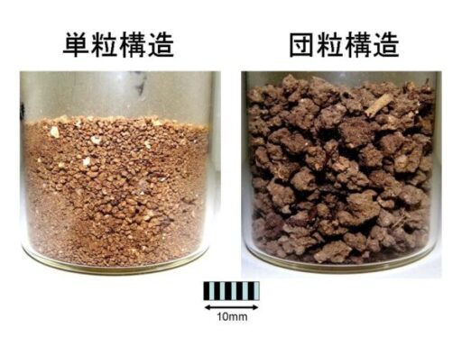 写真_単粒構造と団粒構造